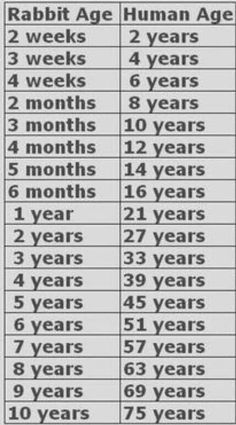 Rabbit Age Chart