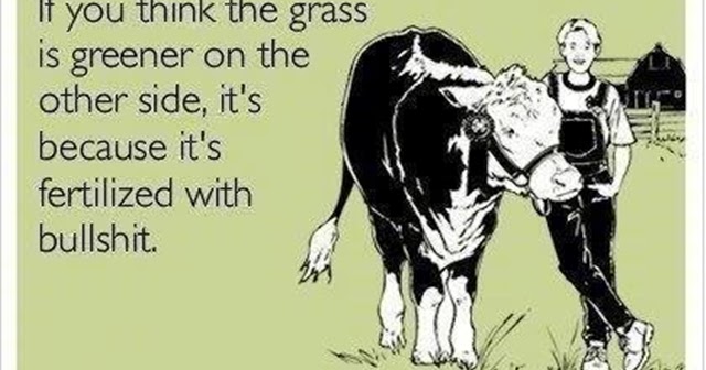 if-you-think-the-grass-its-greener-on-the-other-side-its-because-its-fertilized-with-bullshit