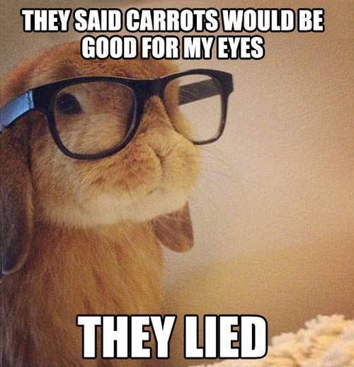 they-said-carrots-would-be-good-for-my-eyes-they-lied-quote-1